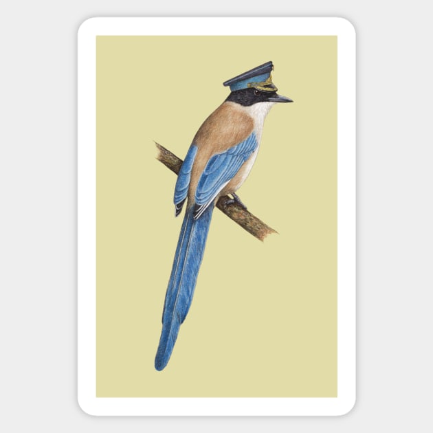 Azure-winged magpie Sticker by Mikhail Vedernikov